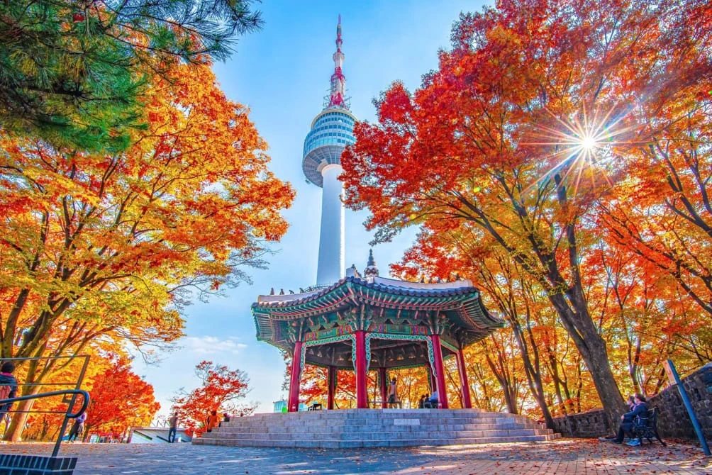 Du lịch Hàn Quốc - Tour Hàn Quốc Busan Seoul Nami Suwon trải nghiệm tàu KTX - Goby Trip.vn