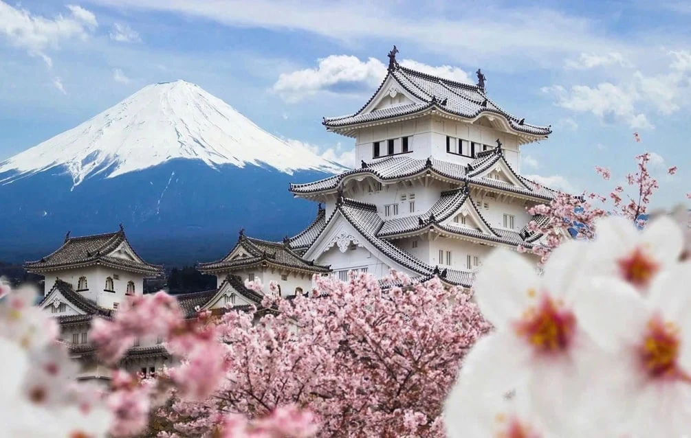 Tour Nhật Bản Tokyo Núi Phú Sĩ Kyoto Osaka