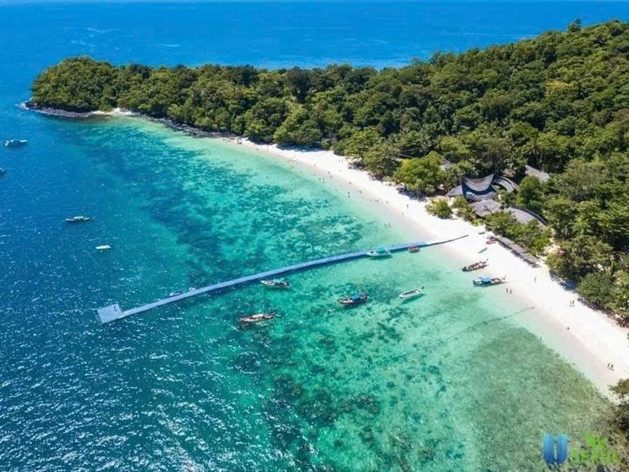 Đảo San Hô Pattaya trong tour Bangkok Pattaya của Goby Trip